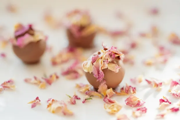 Педалада10 Казино Android/iOS приложение